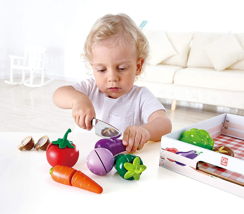 Hape 花園蔬菜玩具套装